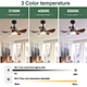 Mini Ceiling Fans